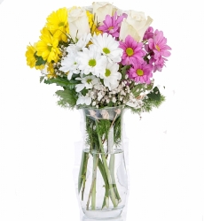 Vazoda Renkli Papatyalar ve Beyaz Güller