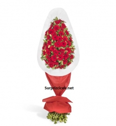 Mutluluklar Kırmızı Gerbera Aranjmanı