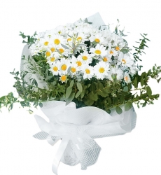 Beyaz Papatya Buketi