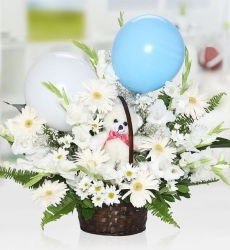 Erkek Bebek Çiçek Sepeti