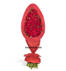 Tek Göbek Kırmızı Gerbera Kutlama Çelengi