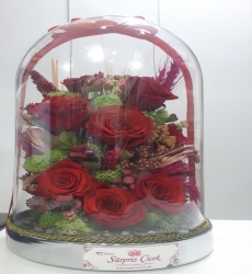 Red Rose Solmayan Gül Aranjman