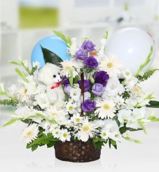 Lisyantüs Papatya Sepeti