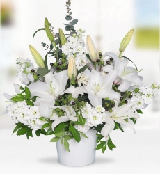 Lilyum ve Şebboy Aranjmanı