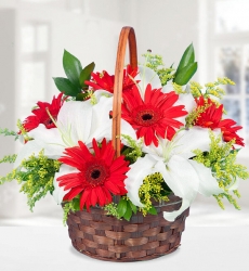  Gerbera ve Lilyum Sepeti Sepet içerisinde kokulu beyaz lilyum ve kırmızı gerbera ve çeşitli yeşillikler ile hazırlanmıştır.