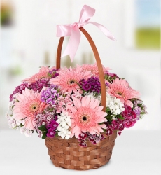 Hüsnüyusuf ve Gerbera Sepeti Sepet içinde pembe gerbera, renkli hüsnüyusuf çiçekleri ve yeşillikler ile hazırlanmıştır.