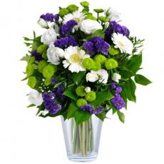 Gerbera ve Lisianthus