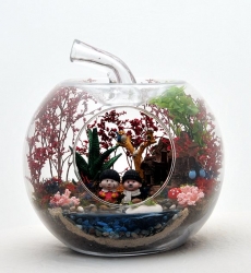 Elma Orta Birlikte Yaşlanalım 3