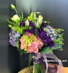 Ortancalı Gelin Çiçeği Canlı