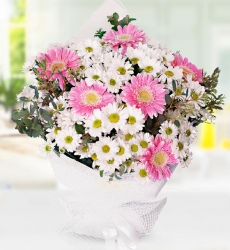 Papatya ve Gerbera Buketi Beyaz papatya ve pembe gerbera ile hazırlanmış zarif el buketi.