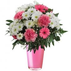 Gerbera ve krizantem iki renkli