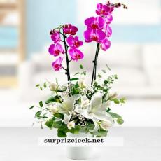 2 Dallı Orkide Çiçeği Aranjmanı