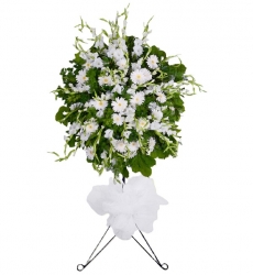 Beyaz gerbera ve beyaz glayör ile hazırlanmış açılış, düğün, nişan ve nikah çiçeği.