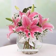 Mis Kokulu Pembe Lilyumlar