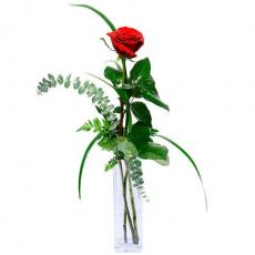 Aşk ve Prestij: 1 kırmızı gül