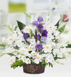 Lisyantüs Papatya Sepeti