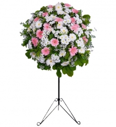 PEMBE gerberalar ile hazırlanmış açılış, düğün, nişan ve nikah çiçeği.