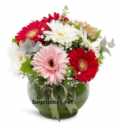 Rengarenk Gerbera Aranjmanı Gemlik Çiçekçi