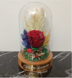 Solmayan Gül Anneler Günü 