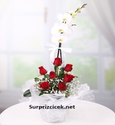 Tekli Orkide ve Kırmızı Güller