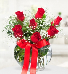 Akvaryumda 7 Kırmızı Gül Fanus cam vazo içerisinde kırmızı gül, cipsofilya ve yeşillikler ile hazırlanmıştır.