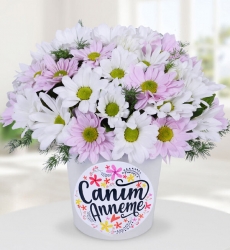  Seramikte Papatyalar Canım Anneme temalı seramik vazo içerisinde beyaz papatya, pembe papatya ve yeşillikler ile hazırlanmıştır