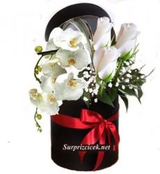 Kutuda Okide ve Güller