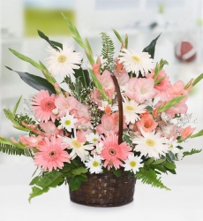 Gerbera ve Papatya Sepeti