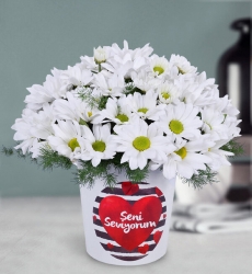 Beyaz Papatya Aranjmanı Seni seviyorum temalı seramik vazo içerisinde beyaz papatya ve yeşillikler ile hazırlanmıştır.