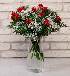 Kokina Yılbaşı Çiçeği - Paşabahçe Vazolu